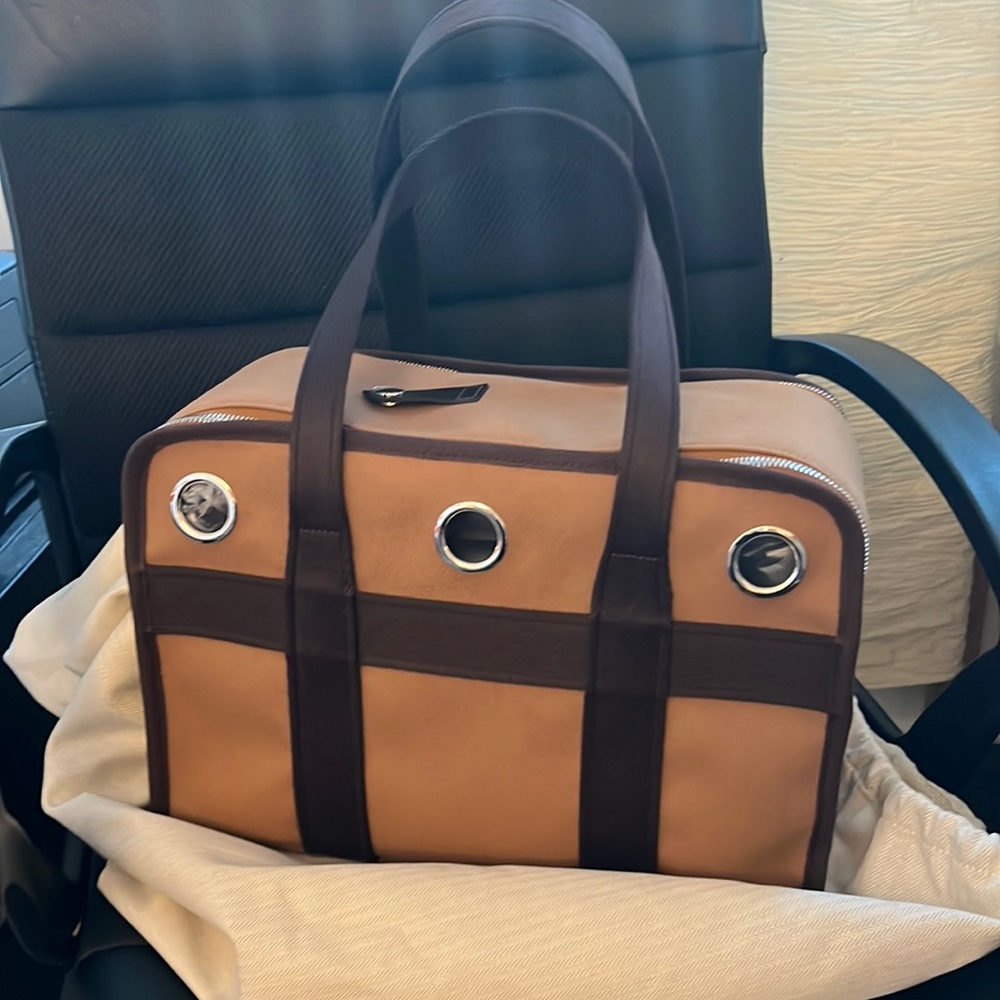 Hermes dog carrier bag